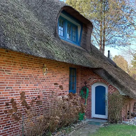 Reetdachhaus-immenseeweg-7